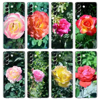 Rose Cvetje Botanični Primeru Telefon Za Samsung Galaxy S22 5G S20 Ultra S21 FE 5G S10E S8 S9 S10 Plus Opomba 20 10 Jasno, Zadnji Pokrovček