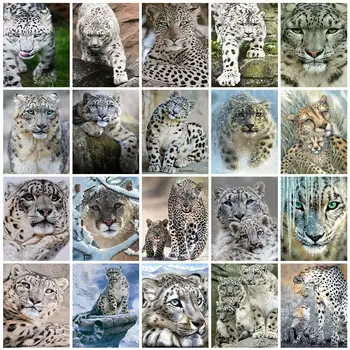 Royal Skrivnost 5D Celoten Kvadratni Diamond Vezenje Leopard Sliko Okrasnih Mozaik Slikarstvo Živali Navzkrižno Šiv Doma Dekor