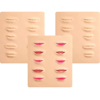 10pcs/veliko 3D Tatoo praksi kožo trajno ustnice ličila usposabljanje kože Nastavite brezplačna dostava