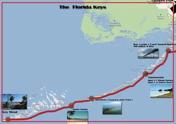 ZDA Potovanja Magneti Darila, 78*54 mm Združujejo Članice Florida Key West Spominek Hladilnik Magnet 20017