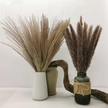 45 cm Reed Pampe Zajec Rep Travo, Naravno Sušene Cvetje, Poročni Šopek, Dekoracijo Seno za Stranke Bohemian Doma Dekor